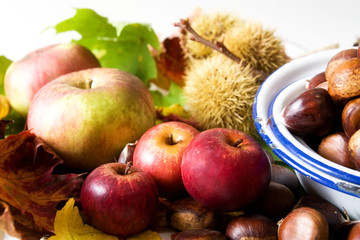 Herbstliches Stilleben