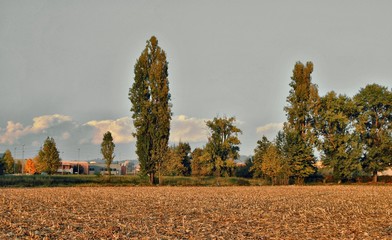 Autunno 1