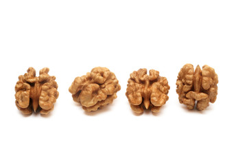 kernel of walnut