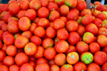 red tomato mound in vegetables market