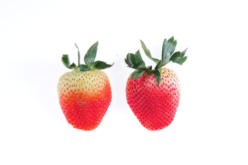 red strawberry