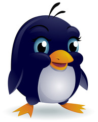 Baby Penguin