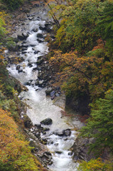 八甲田の紅葉　城ヶ倉渓流