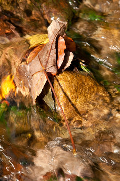 Water in motion