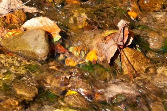 Water in motion