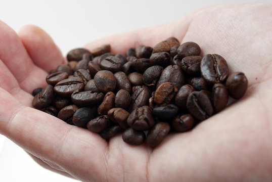 The Coffee Beans on the open palm
