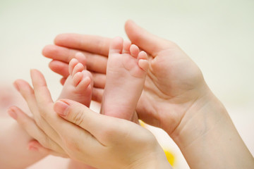 Newborn Baby`s feet in Mammy`s hand