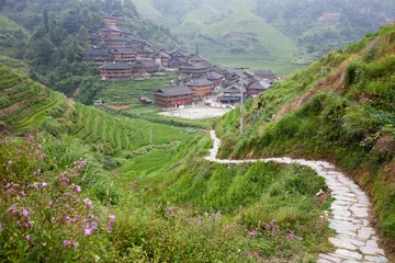 Fotobehang path to village, Guilin, China © ping han