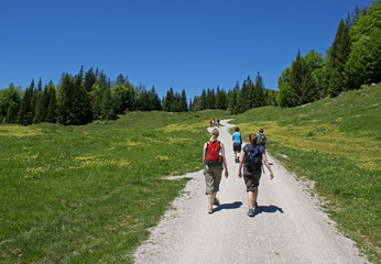 Fototapeta premium Damenrunde beim Wandern