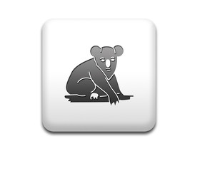 Boton cuadrado blanco koala