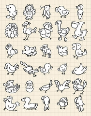 Obraz premium hand draw bird element