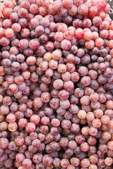 background made of fresh grapes