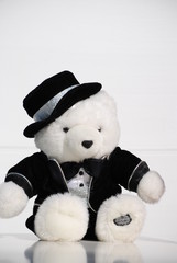 ours blanc sur son 31 sur fond blanc