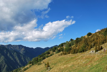 Fototapeta na wymiar Alps mountains in summer, Piedmont, Italy
