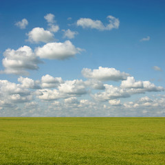 A Cloud Landscape with Grass