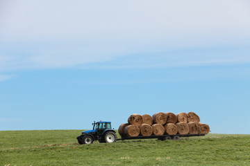 牧草を運ぶ