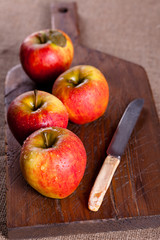 Autumn Harvested Apples