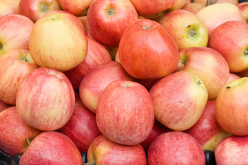 background made of fresh apples