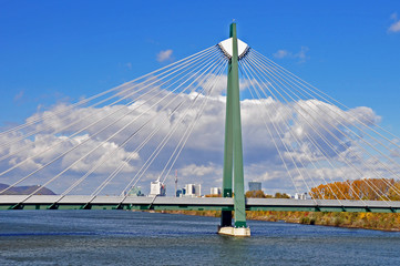 Obraz premium bridge