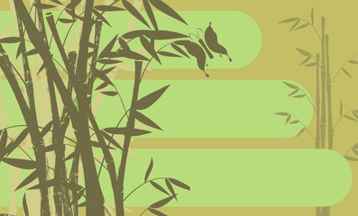 bamboo backgroundo10