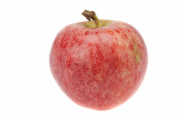 apple isolated on white