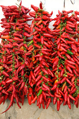 Naklejka premium Peperoni