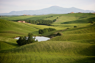 Campagna senese