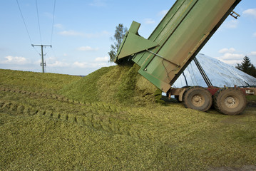 Silo