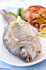 Meerbrasse mit Apfel