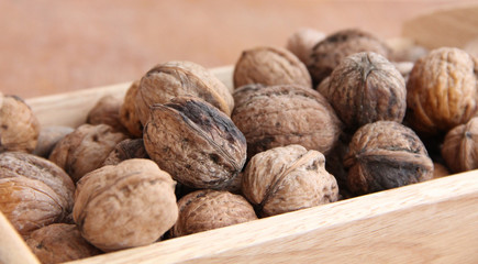 Macro view of walnut on the wood structure