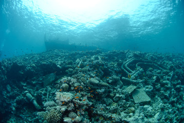 The Remains of the Lara shipwreck