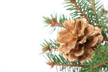 Christmas tree with cone