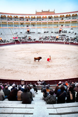 Naklejka premium A matador in full dress is main performer in bullfighting