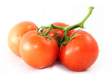 Tomatoes