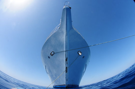 schiff