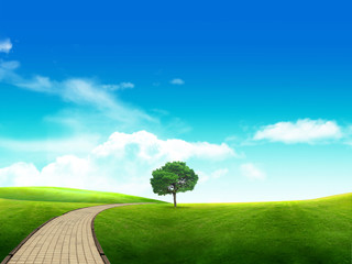 Meadow with green grass and blue sky with clouds and tree .