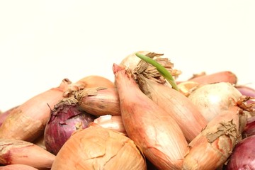 Oignons, &eacute;chalotes