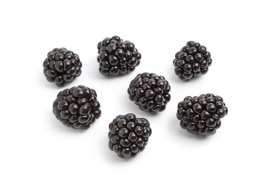 Whole single fresh ripe blackberries