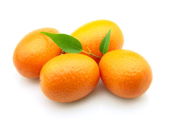 Sweet kumquat