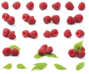 Various fresh raspberries