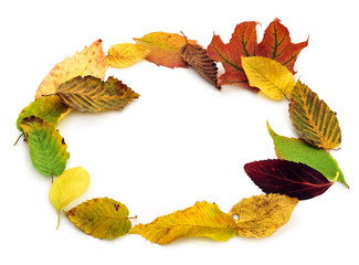 Fall leaves frame, isolated on white background