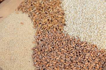 Background of different kinds of grains close up