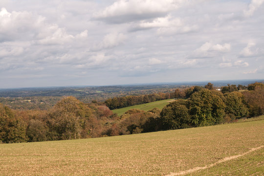 Valley Of Autumn Color Looking Across Sussex Weald