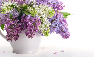 Lilacs in white jug