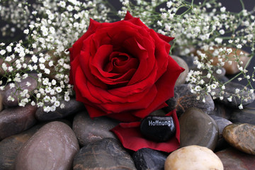 Stein mit der Inschrift Hoffnung auf roter Rose