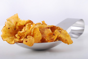 Présentation de Chanterelles jaunes (Cantharellus)