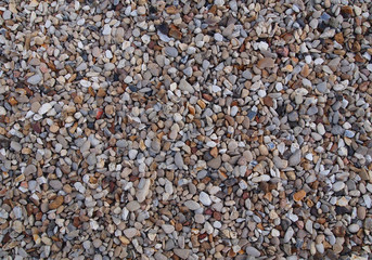 Gravel texture or Pebble background