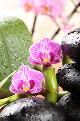galets noir et orchidée