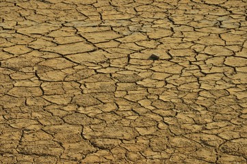 Sécheresse.