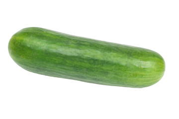 Cucumber